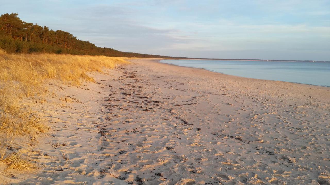 Ostseehaus Odin Doppelhaushaelfte Wiek auf Rügen Extérieur photo